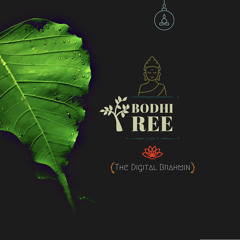 Bodhi Tree