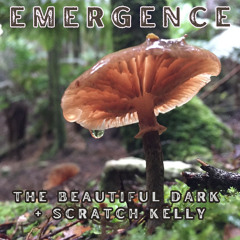 Emergence