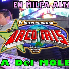 ACOIRIS en la feria del mole Actocpan MILPA ALTA