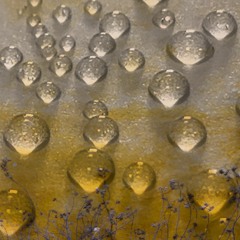 The DustMan - Object (Ween Cover)