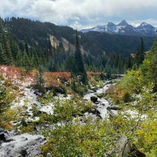 2021-Vol 2: Cascadence Legacy Mix