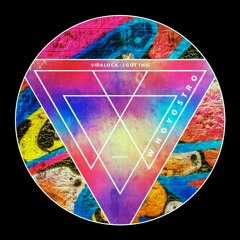 Vidaloca - I Got This [WHO275]