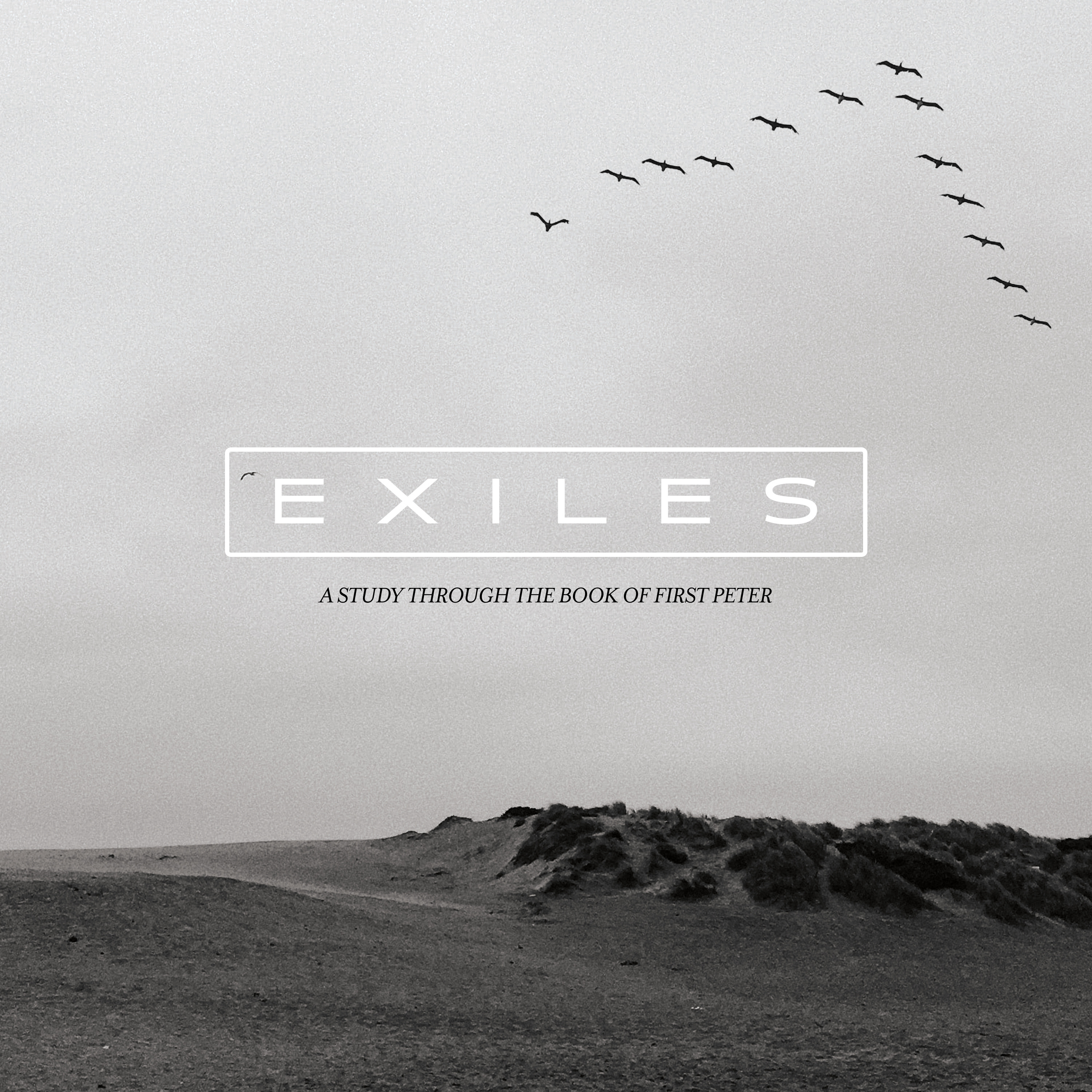 Elect Exiles