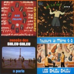 Shleu Shleu - morceaux choisis