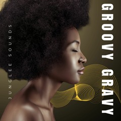 Groovy Gravy 2