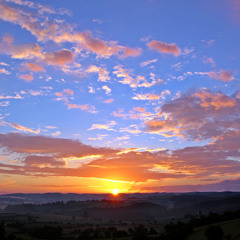 Spring in The Evening