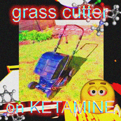 GRASS CUTTER BUT ON KETAMINE
