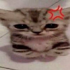 spongebob squeaky boots