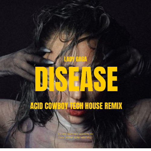 Lady Gaga - Disease (Acid Cowboy Tech House Remix)