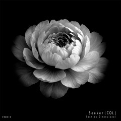Seeker (COL) - Sentido Dimensional
