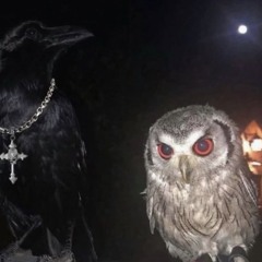 MBizz x Hazard - NightRider