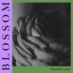 Blossom (feat. M. Kites)