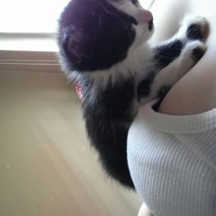 Anh Sui Bê Đồ☄️