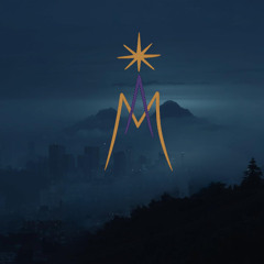 Bathed in the fog [12223222025]