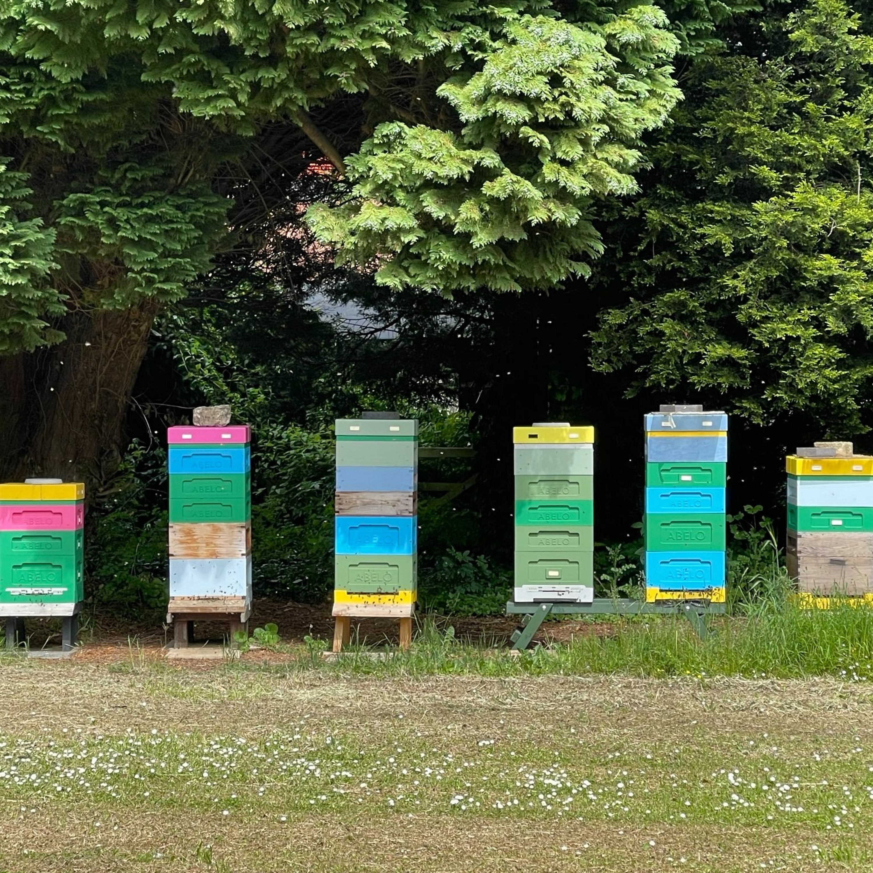 Green Matters program 5 first aired on 4th June 2023