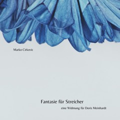 Fantasie für Streicher I. - Gewidmet an Doris Meinhardt