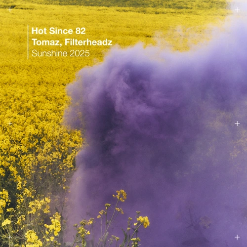 Artwork for the song Sunshine 2025 by Hot Since 82 on Next Sound