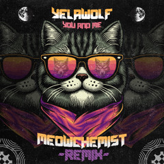 Yelawolf - You and Me (MEOWCHEMIST REMIX)