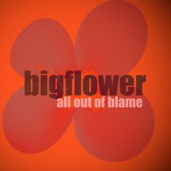 bigflower - all out of blame