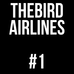 THEBIRD AIRLINES #1