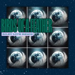 billie eilish - birds of a feather (riley love remix)