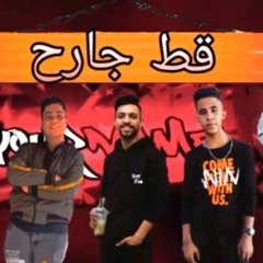 مهرجان قط جارح - حمدى بتشان و احمد السيوطى و سيكا - توزيع المعتمد