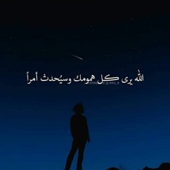 الشيخ محمود هاشم