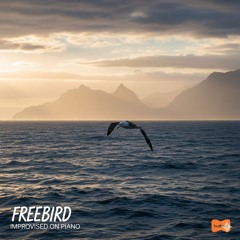 free birds Improvised Piano