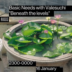 Basic Needs with Valesuchi - "Beneath The Levels"