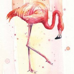 Pink Flamingo
