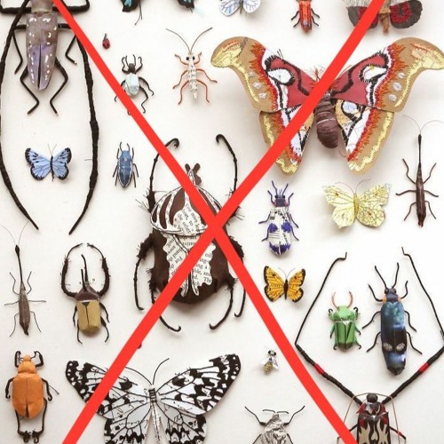 Bug 2mix 20180323