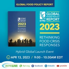 2023 Global Food Policy Report: Rethinking Food Crisis Responses