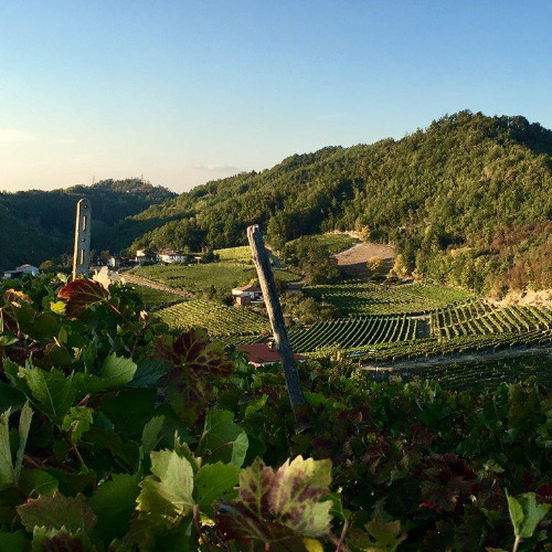 Land with views for Sale in Piemonte: House in Piemonte