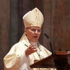 Malenost sv. Franje i poziv na sveopće bratstvo