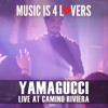 Yamagucci at Music is 4 Lovers [2024-11-14 @ Camino Riviera, San Diego] [MI4L.com] DJ mix artwork - Electronic music tracklist cover image