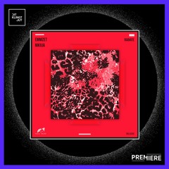 PREMIERE: Emmzet - Spaces | Nala Music