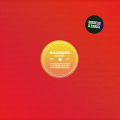 Luca dell'Orso - Fire With Fire [Bordello A Parigi]
