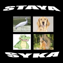 STAYA/SYKA