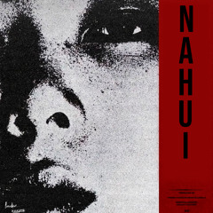 flyen256 - NAHUI (prod. @predayed)