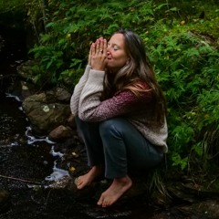 Seres Vivos Da Floresta