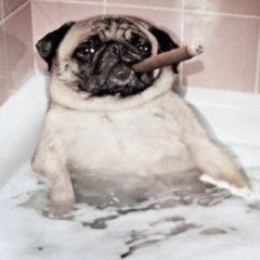 obsessed +rickybanss (hillmurder + vainhardt)