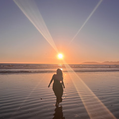 the weekend (sza cover) - aiko vapor