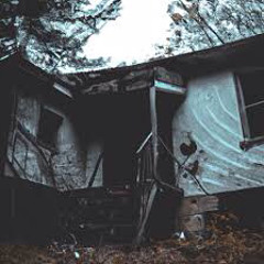 Didtheraceremix- A1 x T10