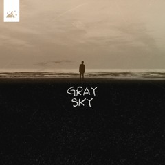 Melancholic Bird - Gray Sky