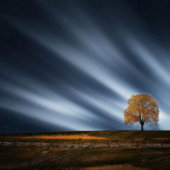 Sky At Night