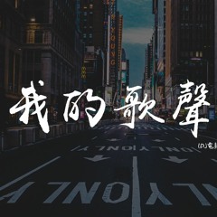 宋善恩 - 我的歌声里 (DJ电摇修改) 【動態歌詞/pīn yīn gē cí】
