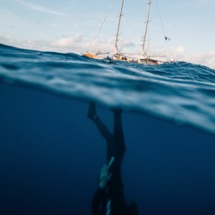 Waves And Tapes