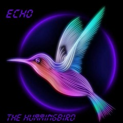 ECHO - The Hummingbird