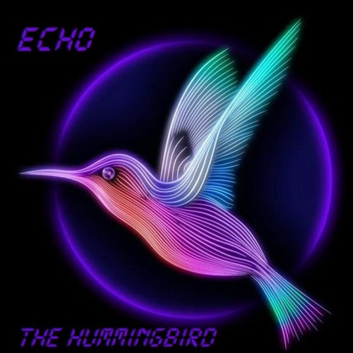 ECHO - The Hummingbird