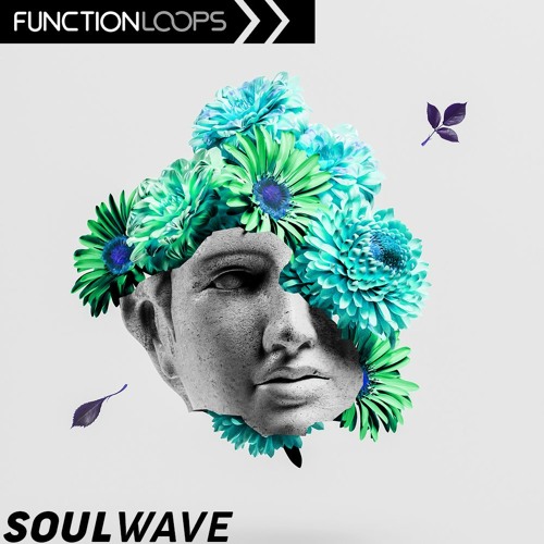 Function Loops Soulwave PROPER MULTiFORMAT-FLARE